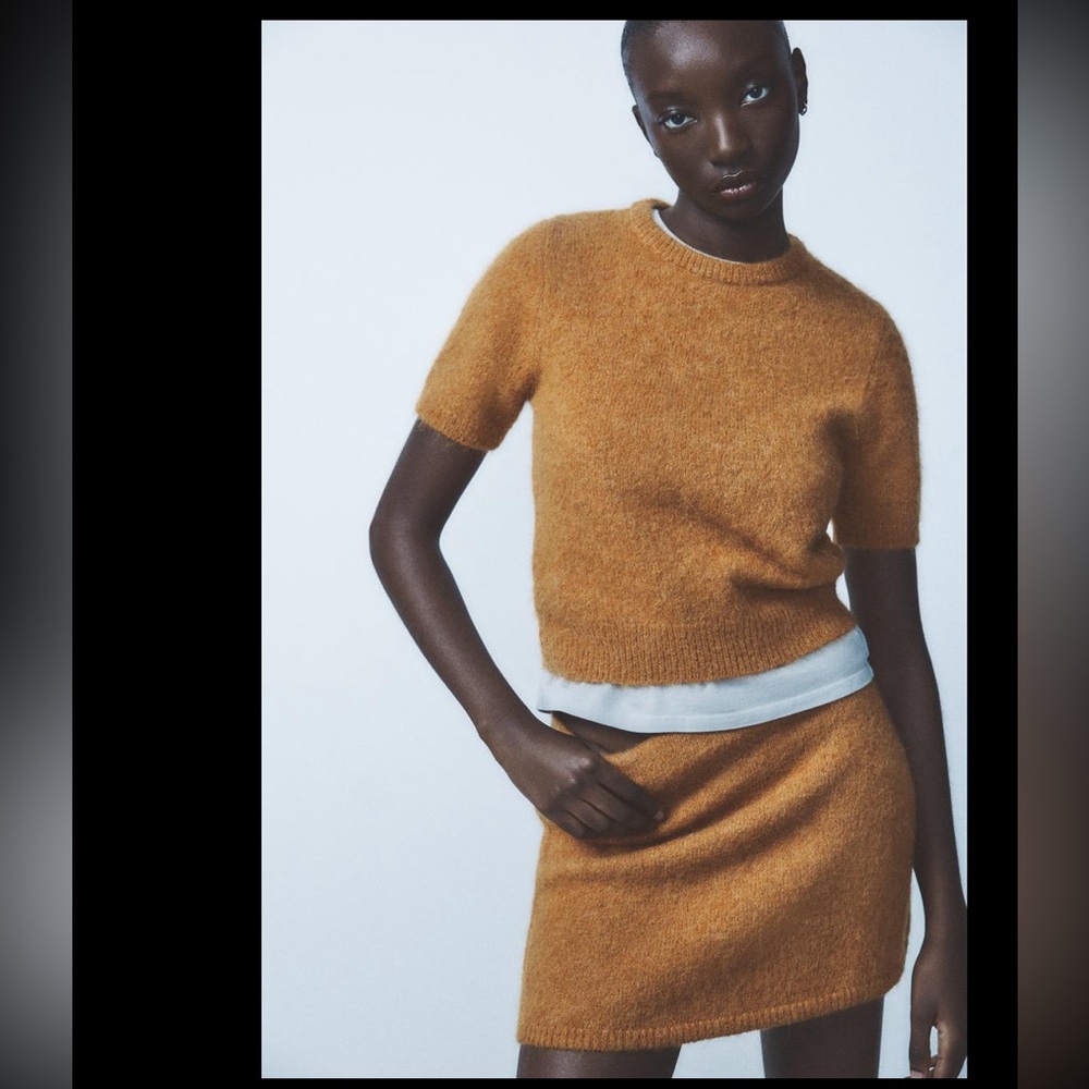 Zara alpahaca & wool blend mini skirt - Picture 5 of 9